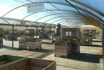 Almacen 2